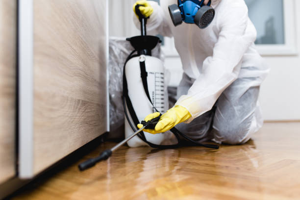 Professional Pest Control in Westwood, MI