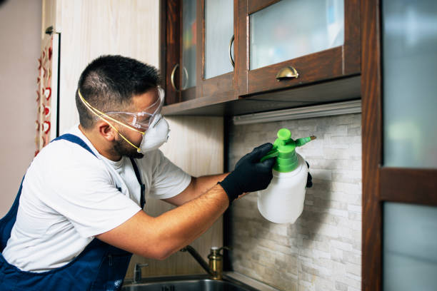 Best Rat Extermination Near Me  in Westwood, MI