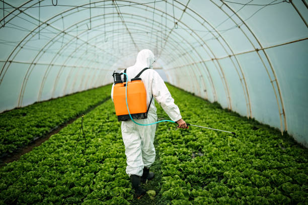 Best Pest Control Near Me  in Westwood, MI