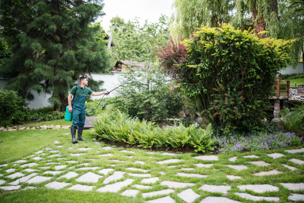 Best Cockroach Control Services  in Westwood, MI