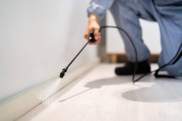 Wildlife Control Services in Westwood, MI