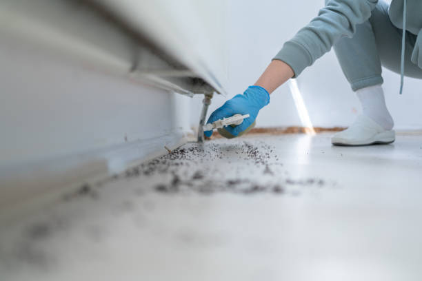 Best Exterminator Services  in Westwood, MI