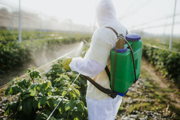 Best Pest Inspection Near Me  in Westwood, MI